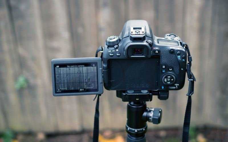 Canon eos 2000d. тест фотоаппарата