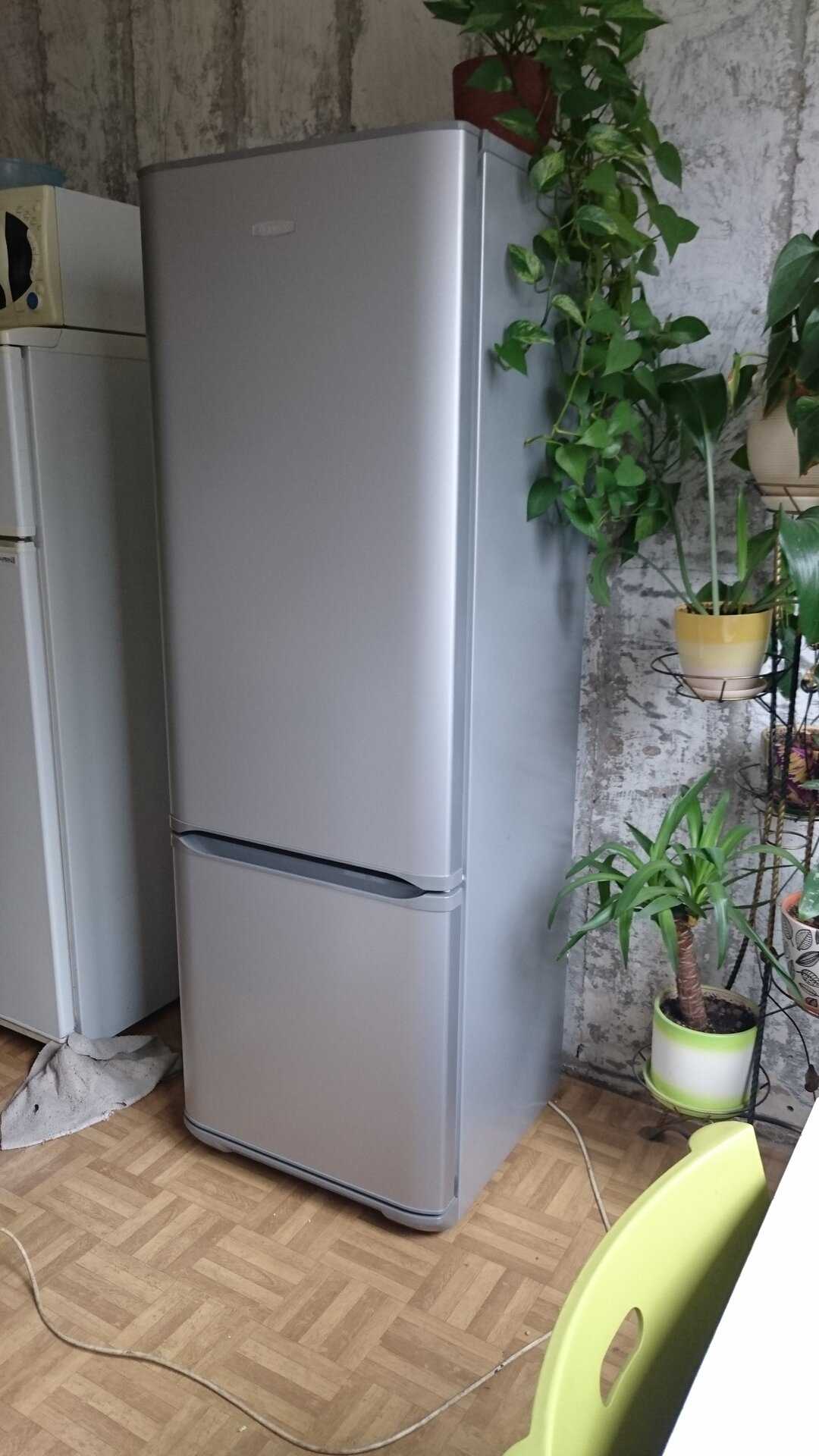 Холодильник бирюса 139 d - купить | цены | обзоры и тесты | отзывы | параметры и характеристики | инструкция