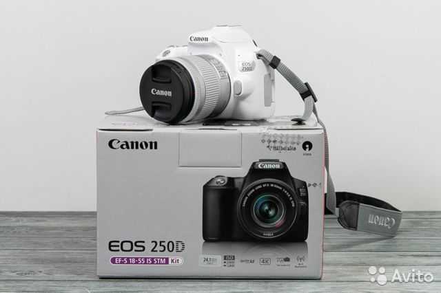 Тест dslr-камеры canon eos 250d: все лучшее, плюс uhd