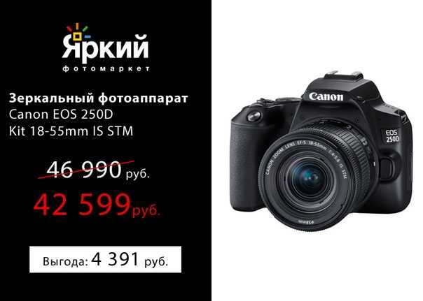 Canon eos 250d — самая легкая в мире зеркалка с поворотным экраном / зеркальные камеры / новости фототехники