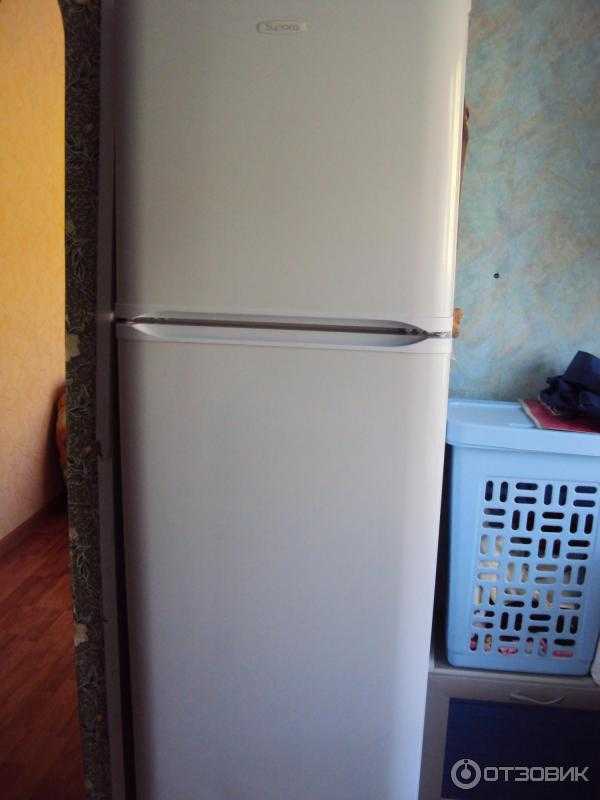 6 лучших холодильников бирюса