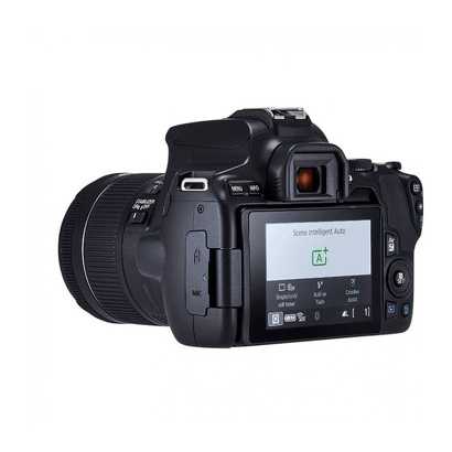 Canon eos 200d и canon eos 250d - сравнение фотоаппаратов