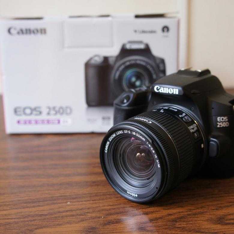 Canon eos 250d обзор