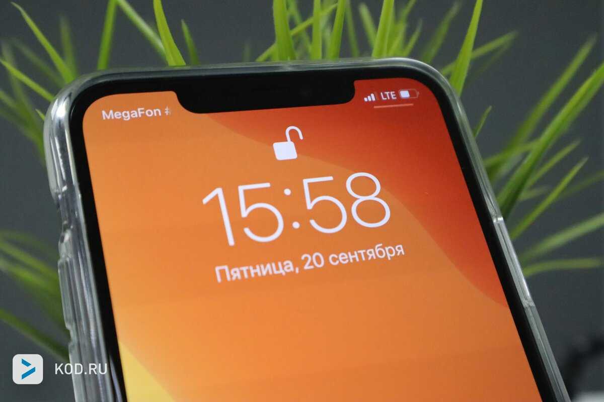 Iphone 11 против iphone xs: сравниваем новый и старый apple | cdnews.ru