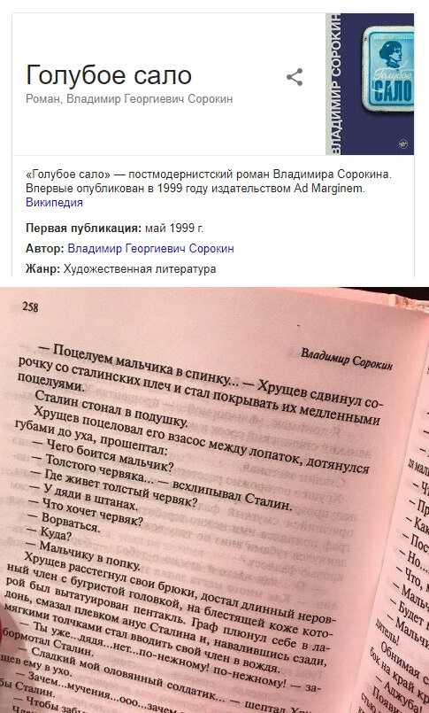 Чего боится мальчик толстого червяка. Голубое сало. Голубое стало книга Сорокина.