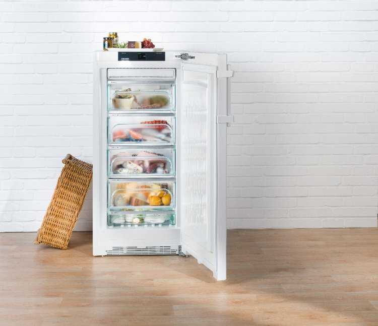 Секреты выбора лучшего холодильника либхер ноу фрост