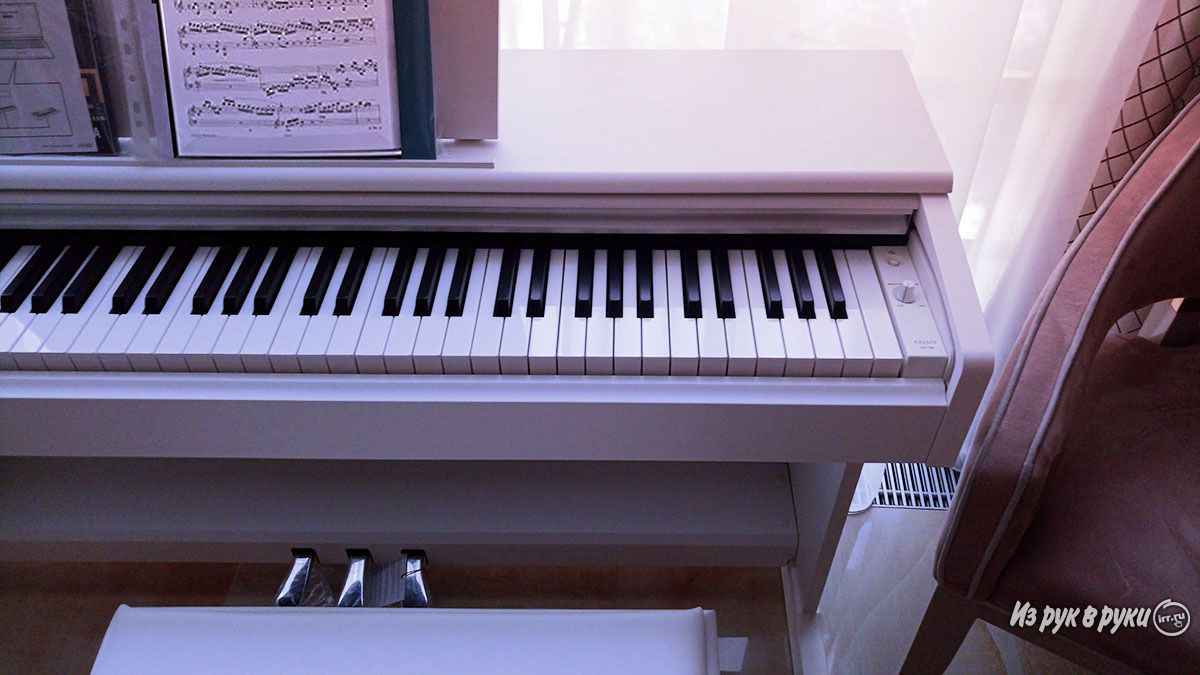 Рейтинг лучших цифровых пианино для музыкальной школы | экспресс-новости