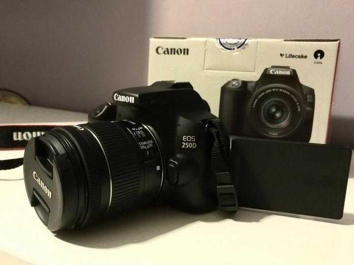 Обзор фотокамеры - canon eos 250d – photo7.ru - сайт о фотографии