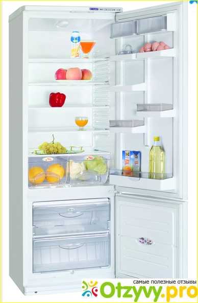 Советы эксперта atlant по выбору холодильника