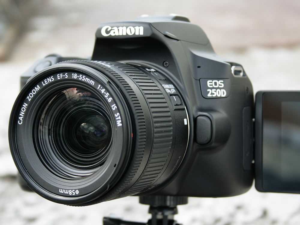 Canon eos 250d — самая легкая в мире зеркалка с поворотным экраном