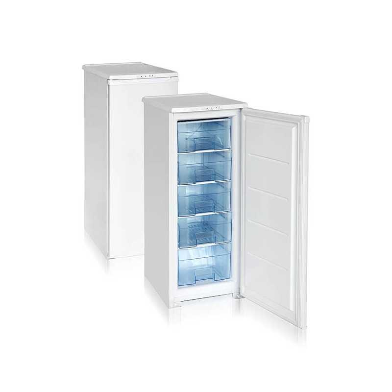 Обзор лучших моделей двухкамерных холодильников бирюса
