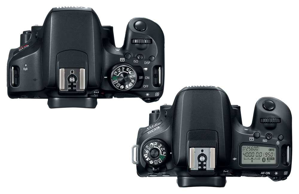 Canon eos 2000d. тест фотоаппарата